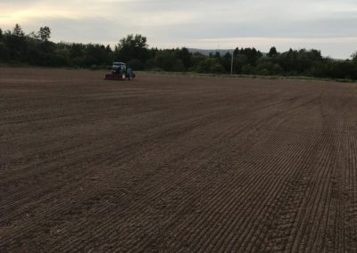 Field in Yarmouth, Nova Scotia
